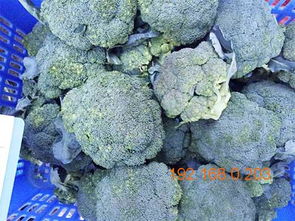 順旺農產品配送服務 高效專業的蔬菜配送選擇