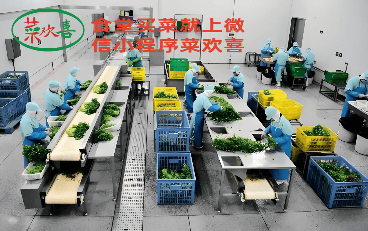 泉州市蔬菜配送市場“菜歡喜”農產品銷得快 計算機信息技術的應用與啟示