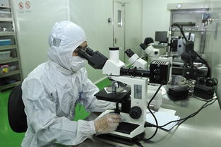 印刷電子材料、技術與應用 計算機信息技術的融合創新