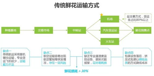 云闊鮮花電商運(yùn)營大綱 供應(yīng)鏈管理服務(wù)的創(chuàng)新與實(shí)踐